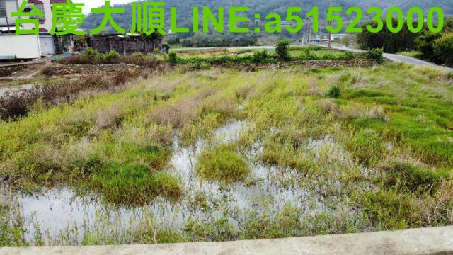 關西農地-11
