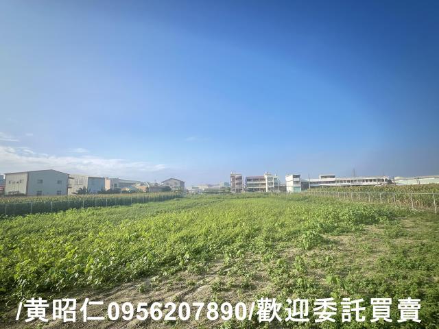 新營農地-1