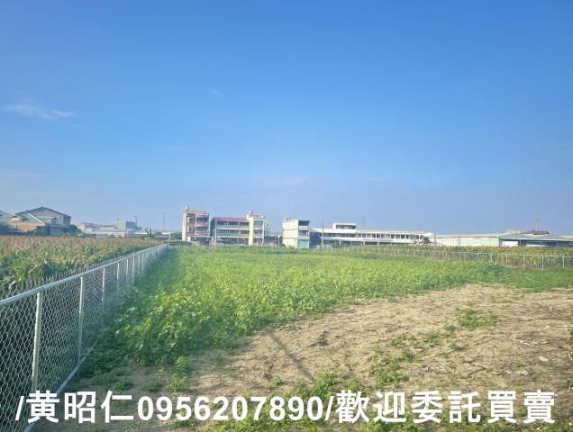 新營農地-2