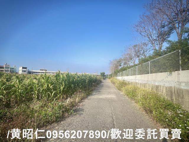 新營農地-3