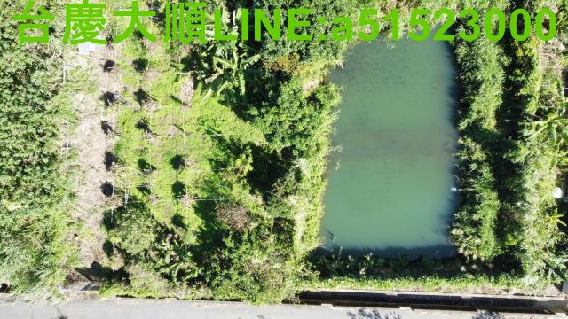 新竹農地-10