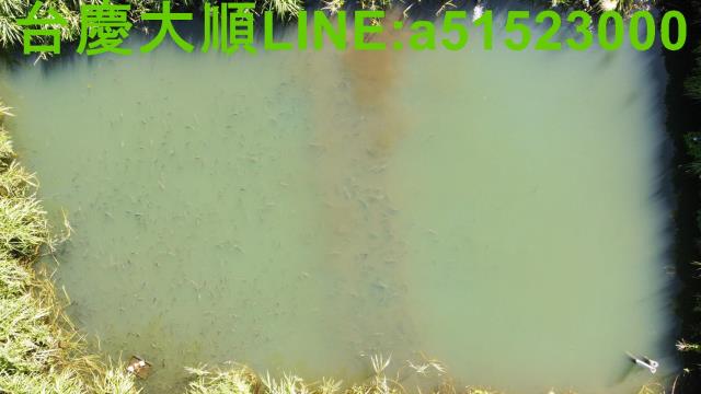 新竹農地-11