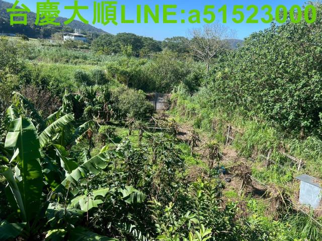 新竹農地-1