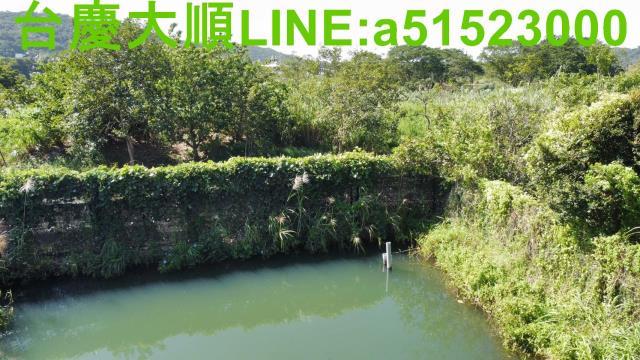新竹農地-5