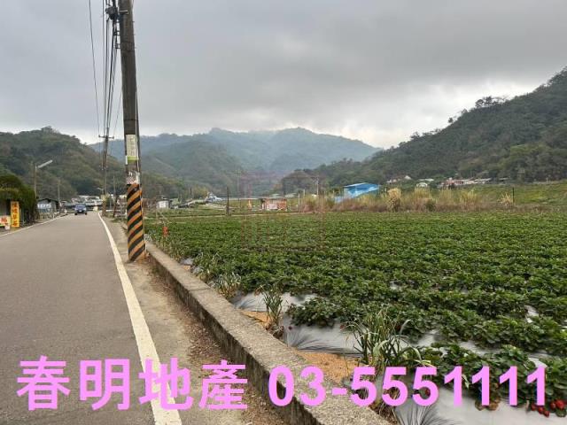 苗栗農地-10