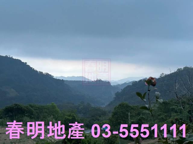 苗栗農地-13
