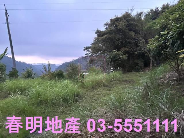苗栗農地-2