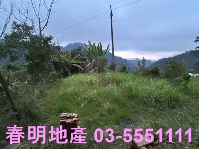 苗栗農地-4