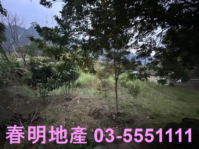 苗栗農地-5
