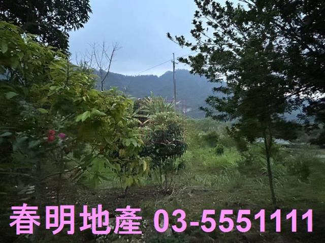苗栗農地-7