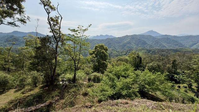 新竹土地農地休閒地
