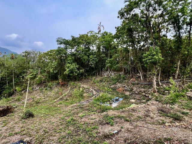 草屯農地-1