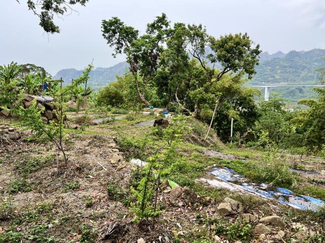 草屯農地-5