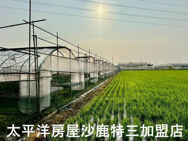 大肚農地-7