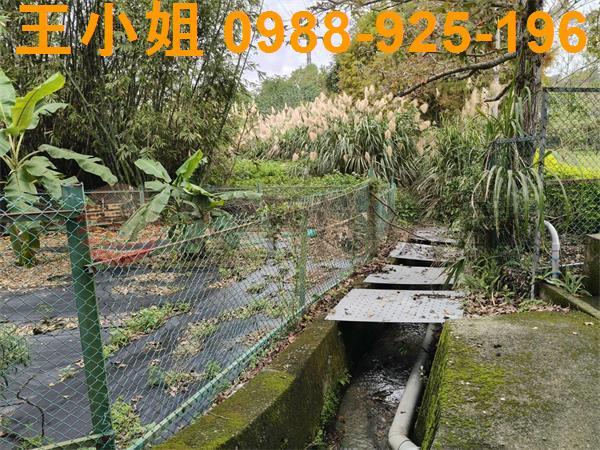 大溪農地-2