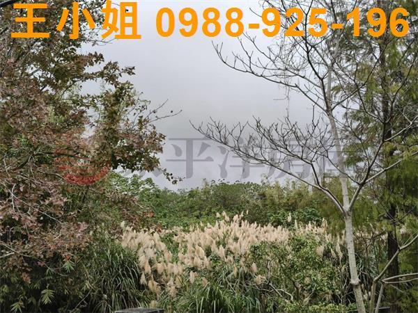 大溪農地-4