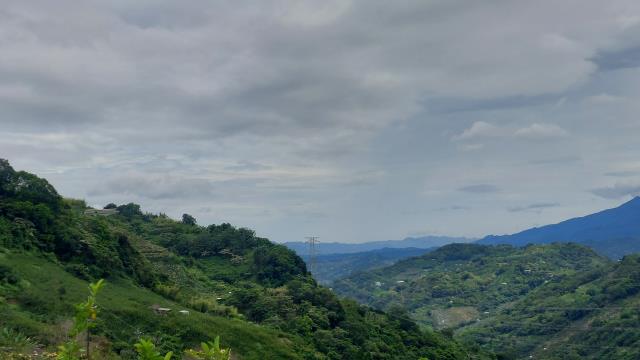 東勢農地-1