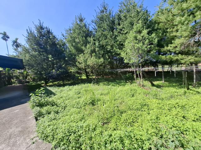 東勢農地-3