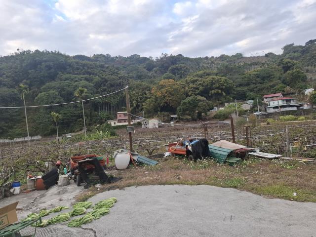 東勢農地-2