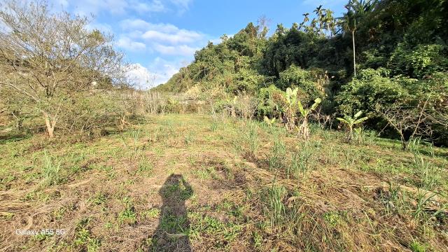 東勢農地-5