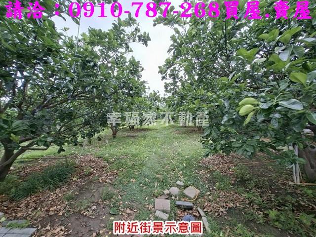 下營農地-11