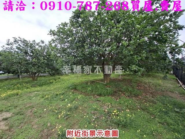 下營農地-14