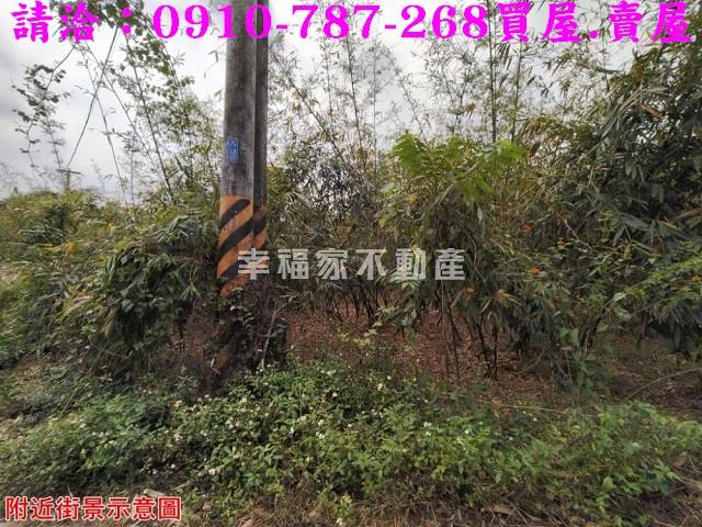 關廟農地-6