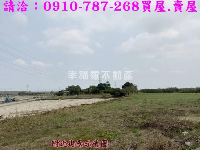 善化農地-10
