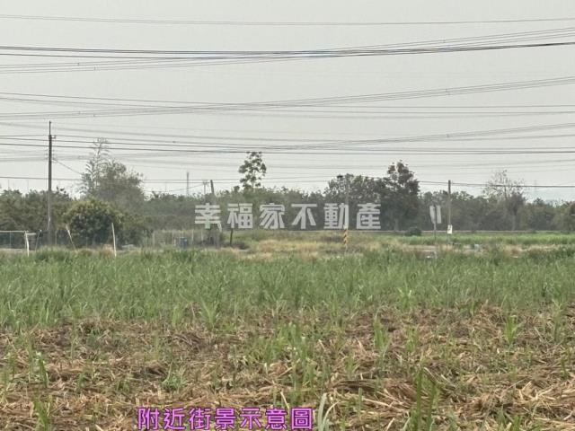 善化農地-9