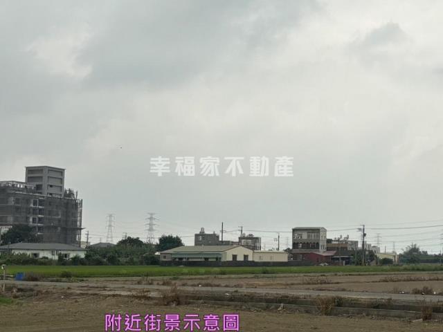 善化農地-10