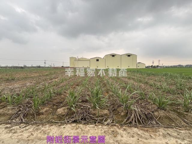善化農地-0