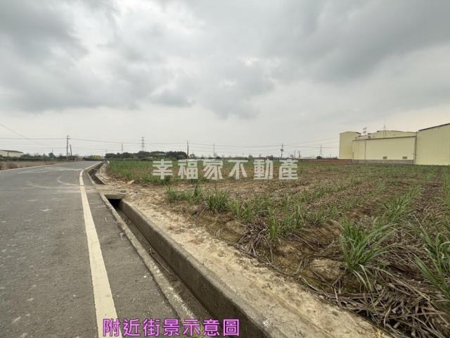 善化農地-1