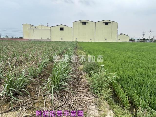 善化農地-2