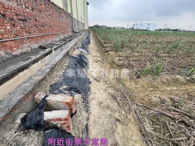 善化農地-3