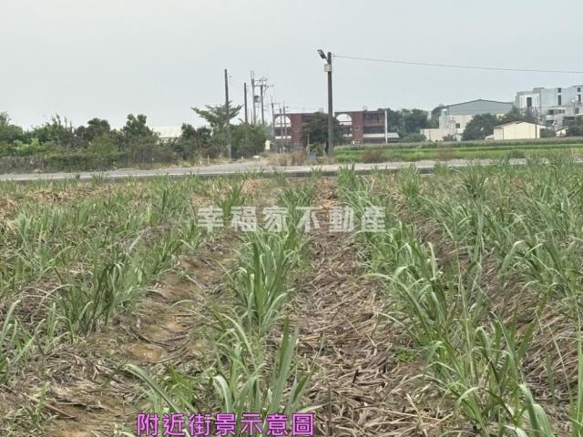 善化農地-4