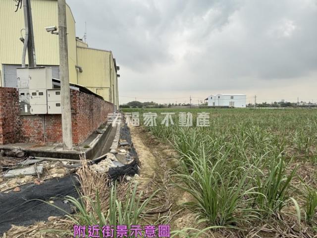 善化農地-5