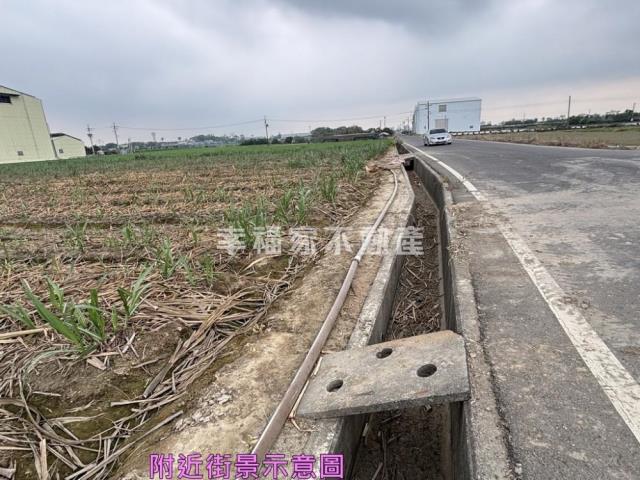 善化農地-6