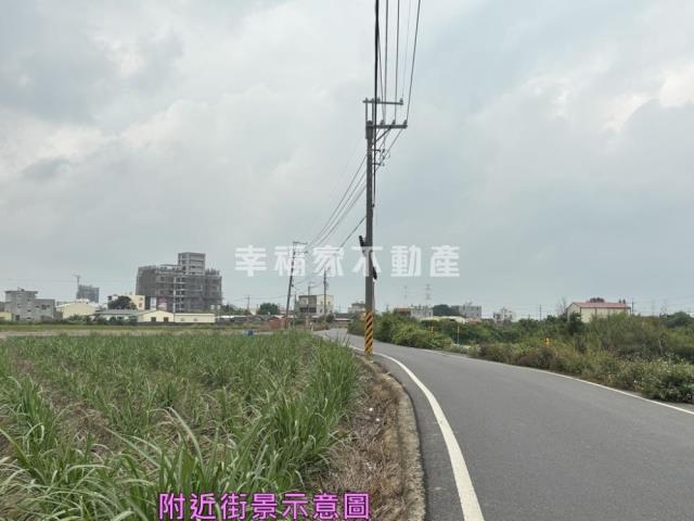 善化農地-8