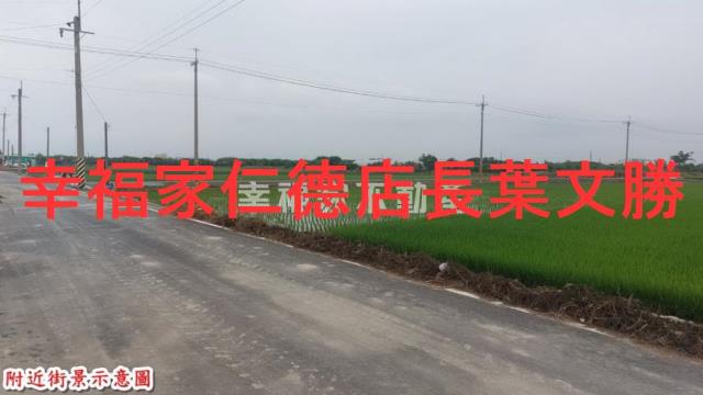 麻豆農地-8