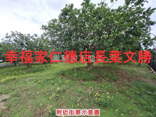 下營農地-6