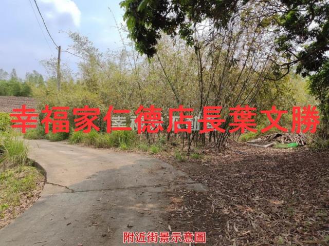 台南農地-10