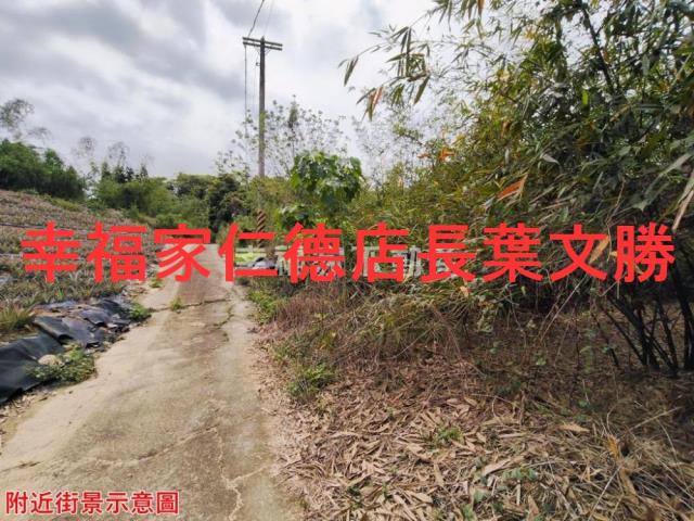 台南農地-11