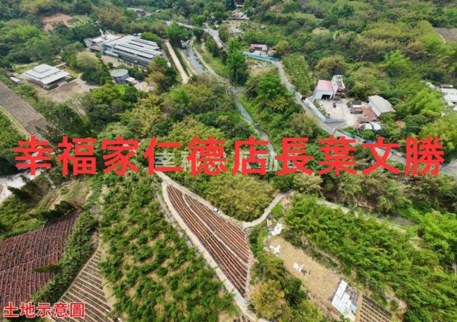 台南農地-5