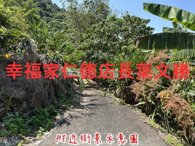 台南農地-13
