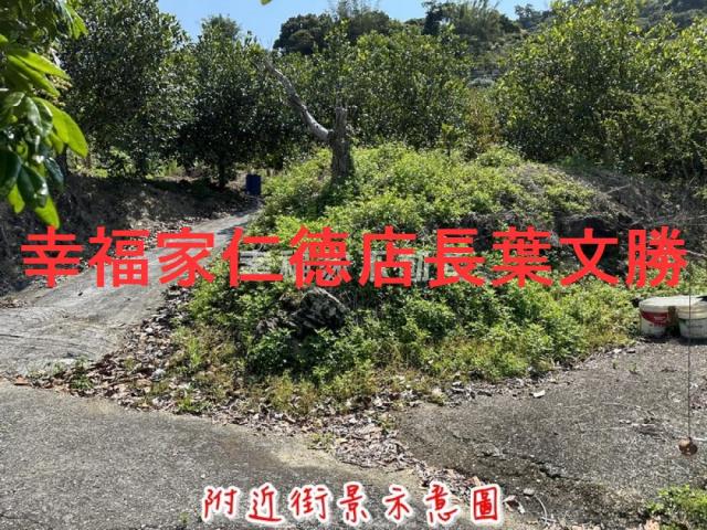 台南農地-5