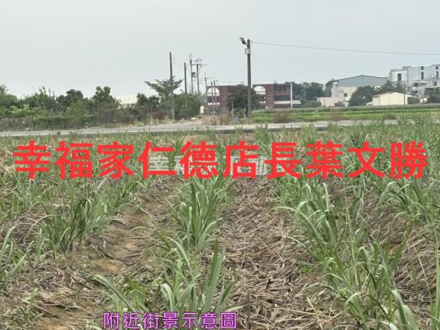 台南農地-11