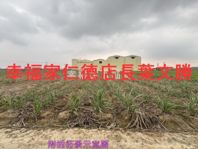 台南農地-6