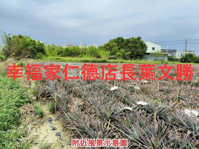 台南農地-9
