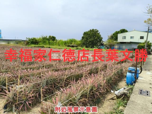 台南農地-12