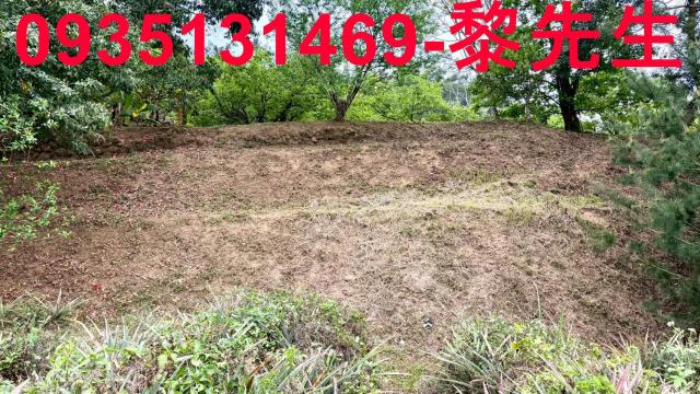 新竹土地農地休閒地